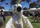 16_beerfest-IMG_7411