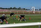 16_beerfest-IMG_7420