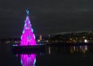 IMG_0699