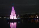 IMG_0732