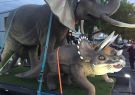 16gala-IMG_0378