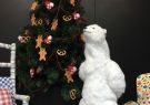 IMG_0458
