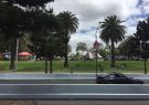 IMG_0508