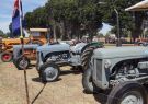 vintage-DSC02694