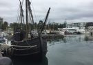 thumb_IMG_8004_1024