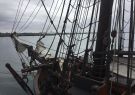 thumb_IMG_8005_1024