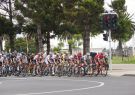 16cadel-DSC03946