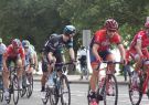 16cadel-DSC04013
