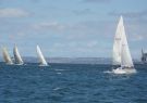 16fos-DSC03221