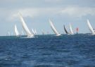 16fos-DSC03288