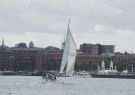 16fos-DSC03355
