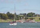 16fos-DSC03381