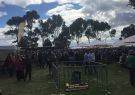 17_beerfest-IMG_1604