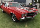 2017-geelong-revival-IMG_0032