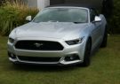 2016afd-DSC06463