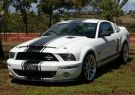 2016afd-DSC06489