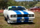 2016afd-DSC06516