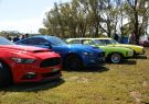 2016afd-DSC06529