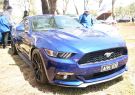 2016afd-DSC06544