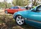 2016afd-DSC06555