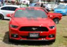 2016afd-DSC06590