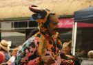 17pako-DSC06956