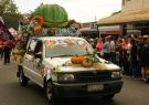 17pako-DSC07194