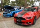 18FORD-DSC08530