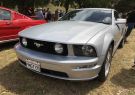 18drysdale-IMG_0375