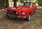 18drysdale-IMG_0377