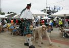 18fos-DSC08193