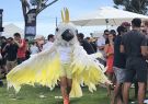 18BEER-IMG_0979