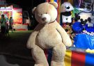 2018-geelong show-IMG_3477