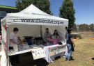 2018-geelong-japanese-festival-IMG_3922
