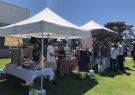 2018-geelong-japanese-festival-IMG_3926