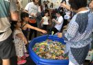 2018-geelong-japanese-festival-IMG_3936