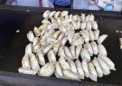 2018-geelong-japanese-festival-IMG_3938