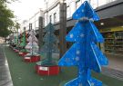 18XmasTrees-IMG_3967