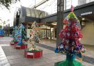 18XmasTrees-IMG_3971