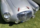 18MG-IMG_1453
