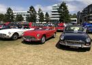 18MG-IMG_1466
