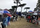 mussel18-IMG_0471