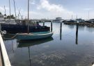 18Woodboat-IMG_1486