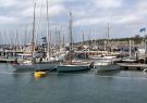 18Woodboat-IMG_1487