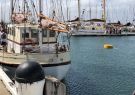 18Woodboat-IMG_1488
