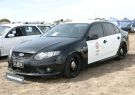 19AllFordDay-DSC00117