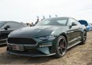 19AllFordDay-DSC00127