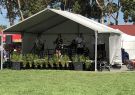 2019_lara-FoodWine-IMG_5198