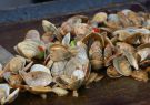 19-MusselFest-DSC09601