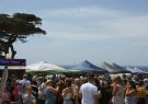 19-MusselFest-DSC09607